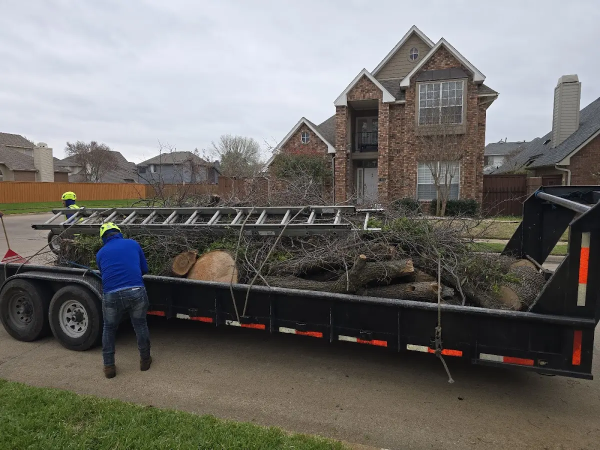 Expert Tree Removal with proper safety equipment in Cleveland